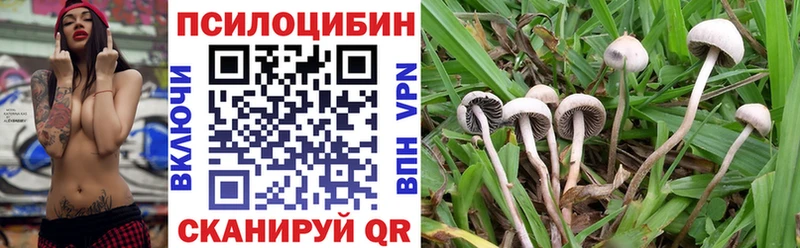 Псилоцибиновые грибы Psilocybine cubensis  как найти   Кемь 
